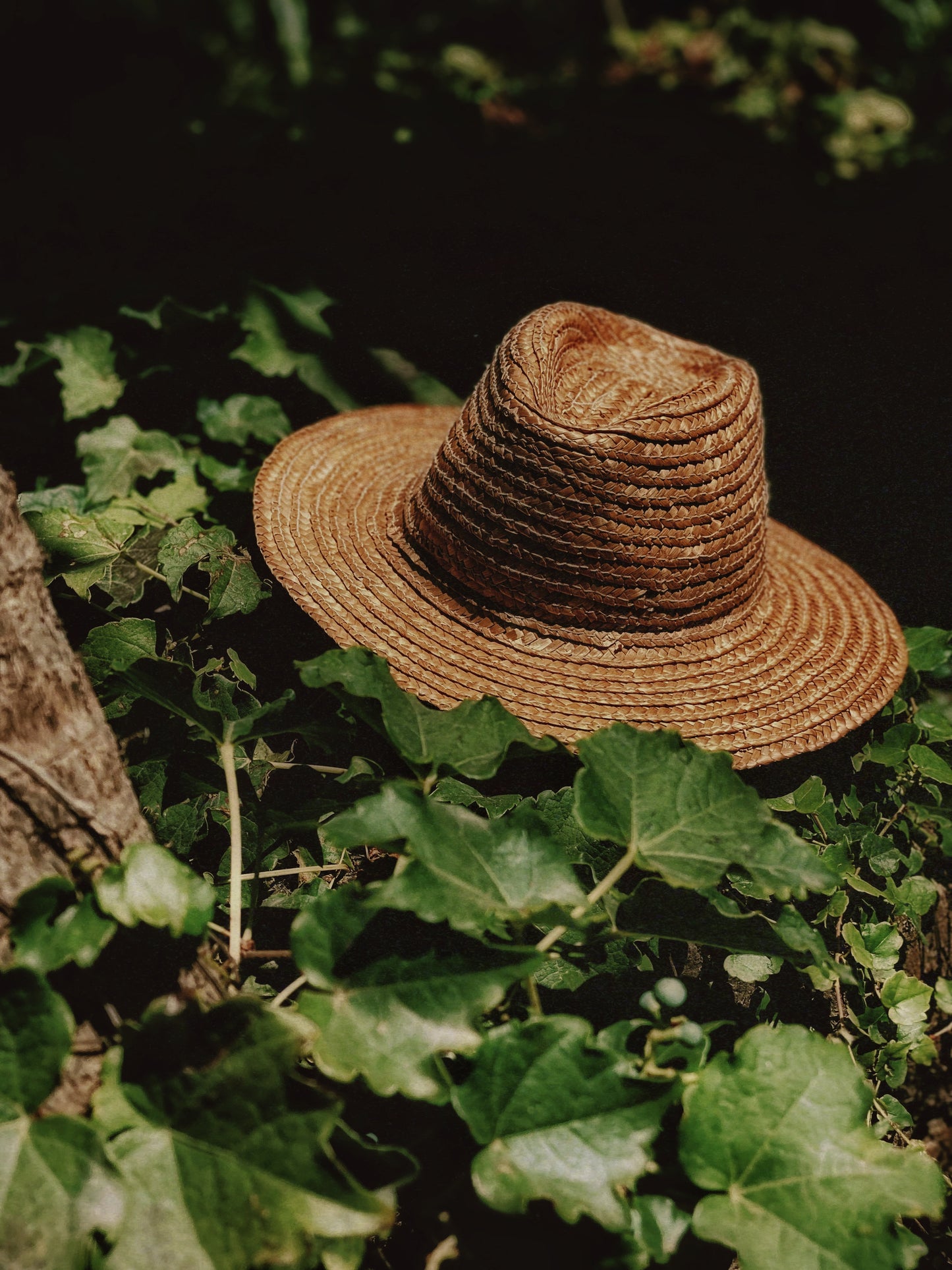 Sombrero de paja